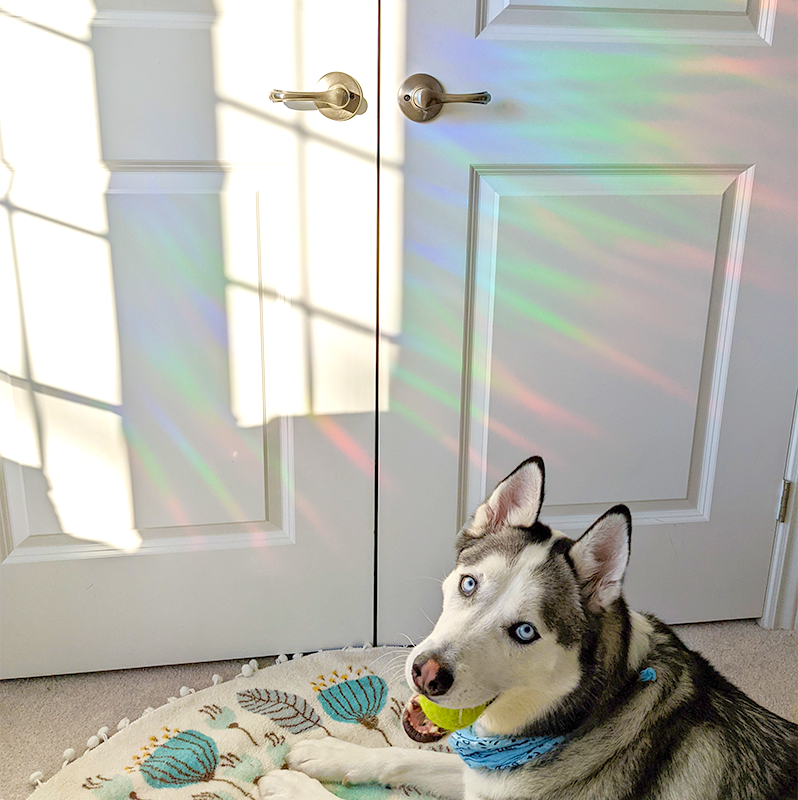 Anxious But Still Magical Suncatcher Sticker